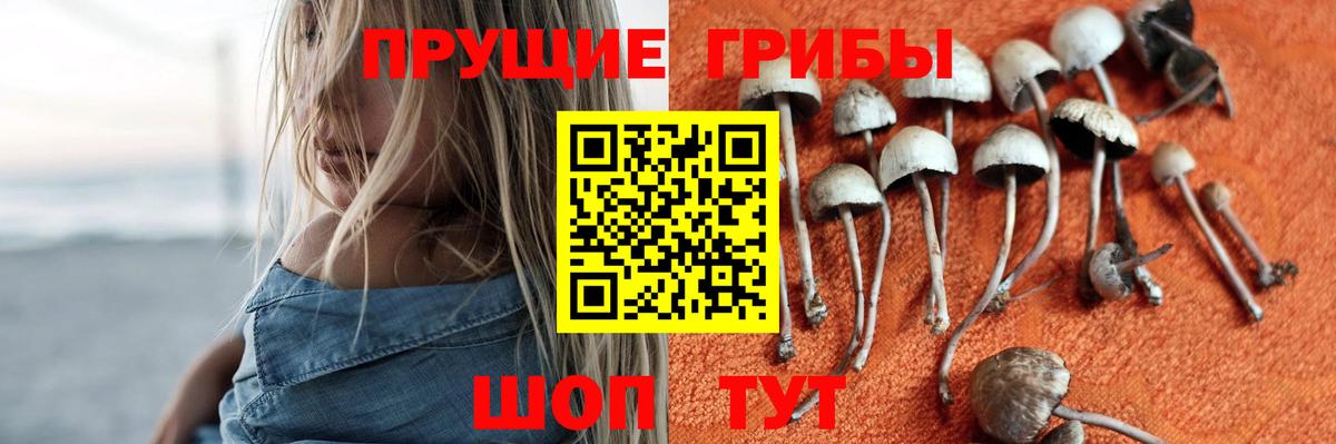 Галлюциногенные грибы мухоморы Протвино