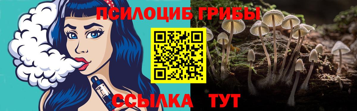 Псилоцибиновые грибы Psilocybe  Вход с VPN  Протвино 